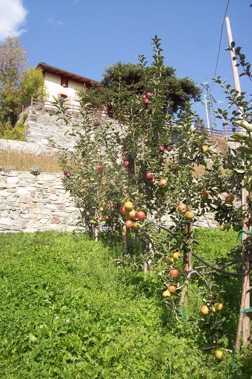 Agriturismo Au Jardin Fleuri Antey-Saint-Andre Exterior photo
